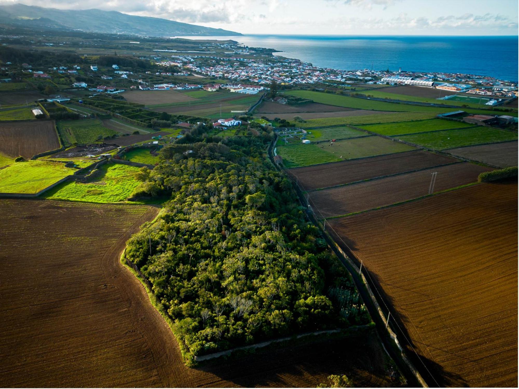 Quinta Morazes Casas De Campo リベイラ・グランデ エクステリア 写真