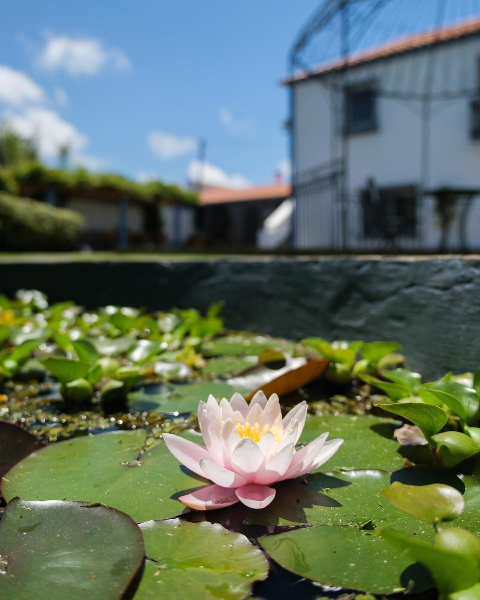 Quinta Morazes Casas De Campo リベイラ・グランデ エクステリア 写真